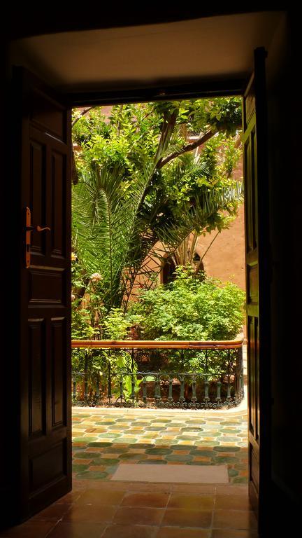 Riad Timadrouine Timatraouine Dış mekan fotoğraf