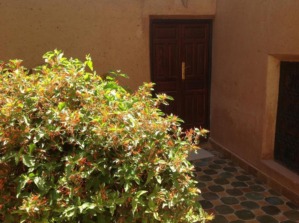 Riad Timadrouine Timatraouine Oda fotoğraf
