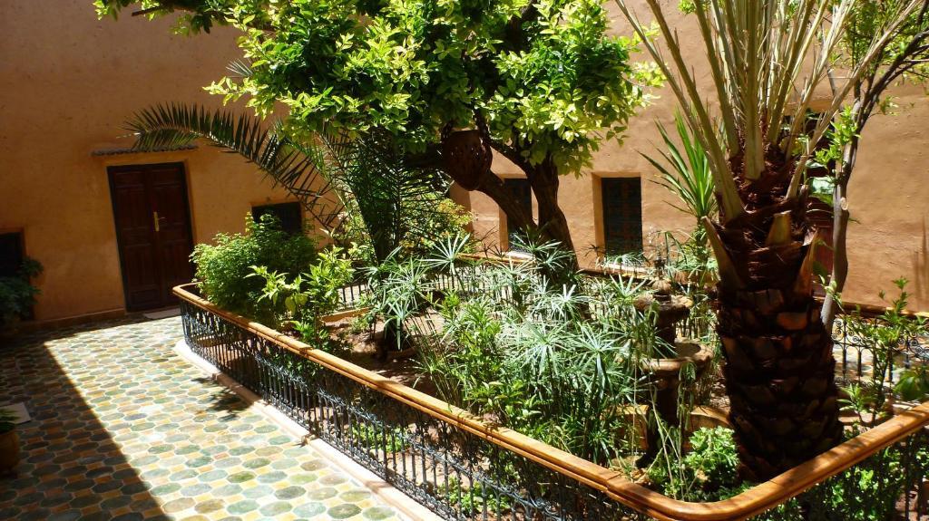 Riad Timadrouine Timatraouine Dış mekan fotoğraf