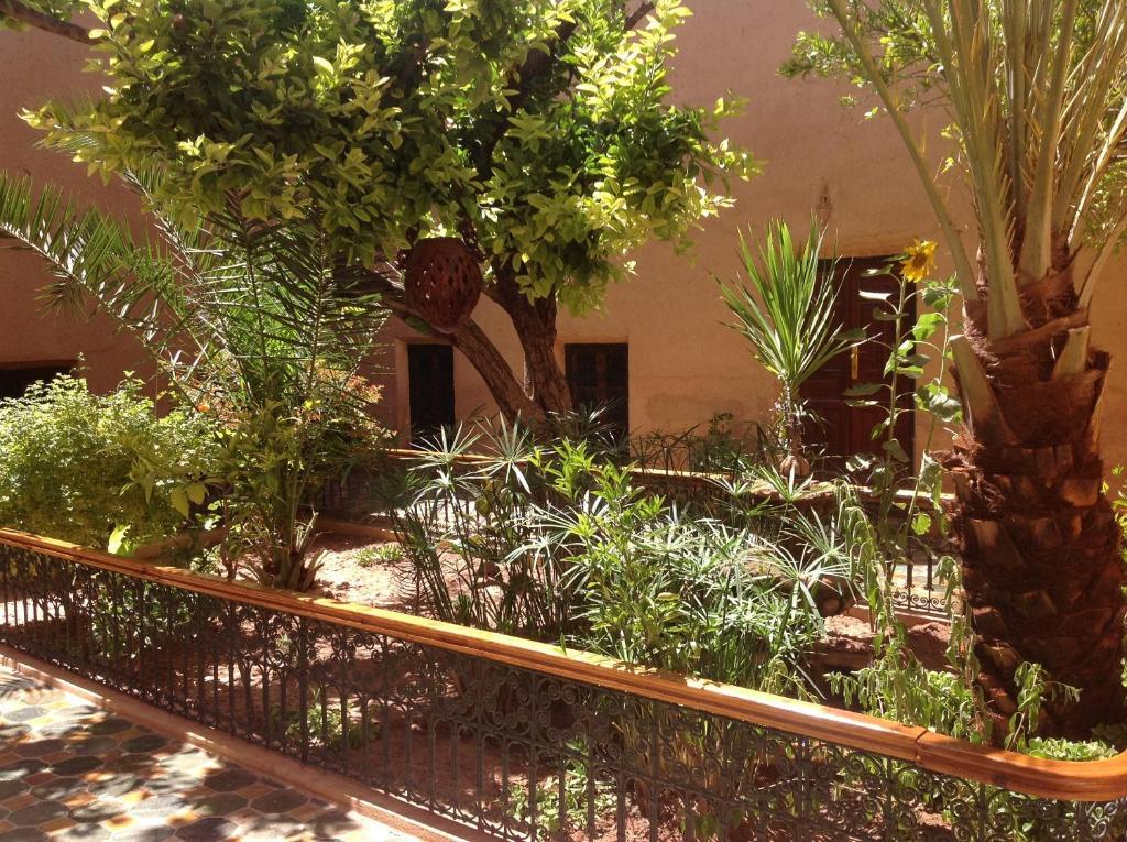 Riad Timadrouine Timatraouine Dış mekan fotoğraf