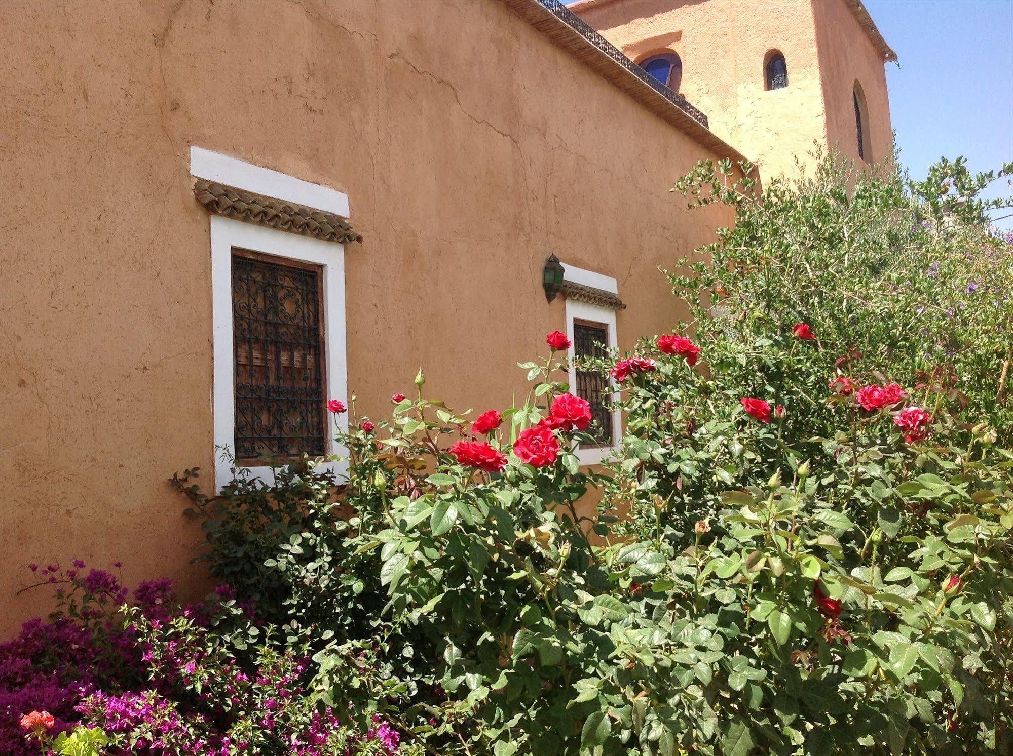 Riad Timadrouine Timatraouine Dış mekan fotoğraf