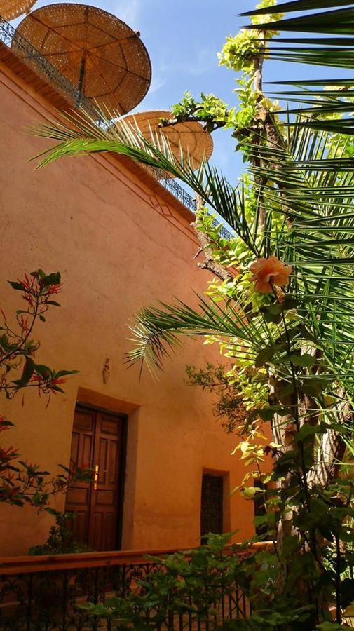 Riad Timadrouine Timatraouine Dış mekan fotoğraf